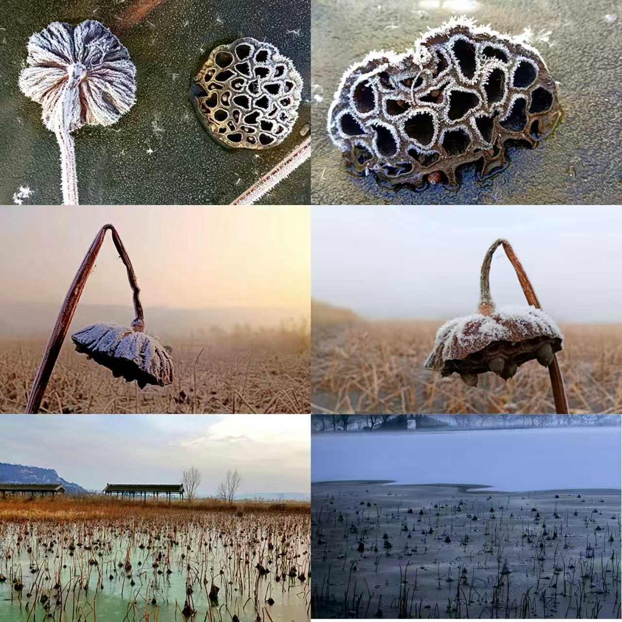 181766038099362745.jpeg a55455745fd72383369c76bbb9dd46d.jpg